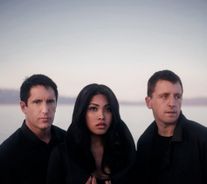 Foto de How To Destroy Angels