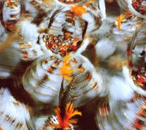 Foto de Samba-Enredo