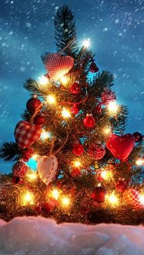 Foto de Natal