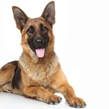 Foto de Outro Saculejo