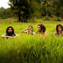 Foto de Vício Primavera