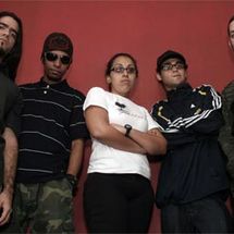 Foto de Hit In The Face