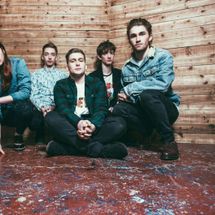 Foto de Marmozets