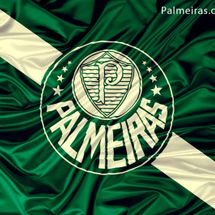 Palmeiras por ELAS