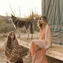 Foto de The Soundflowers