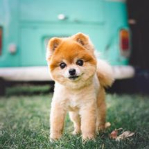 Foto de Outro Saculejo