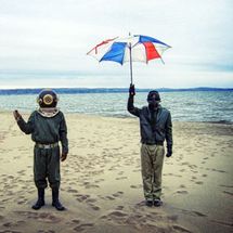 Foto de Swimming With Dolphins