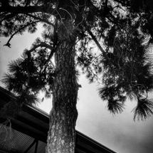 Foto de Estação de Energia