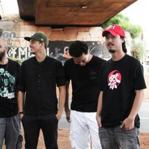 Foto de Chimpanzés de Gaveta