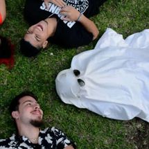 Foto de Projeto Hare