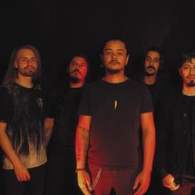 Foto de Screams Of The Night