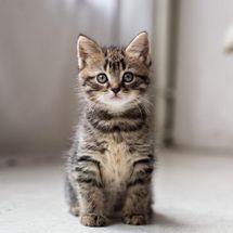 Foto de Outro Saculejo