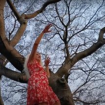 Foto de Virginie Boutaud