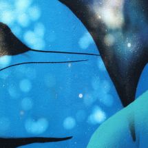 Foto de Danilo Cerqueira