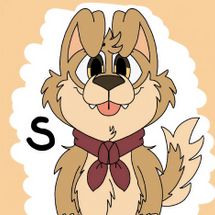 Foto de Steban Retriever