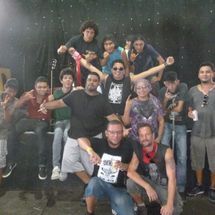 Foto de Baratas Grávidas