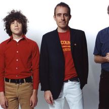 Foto de Ted Leo And The Pharmacists