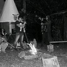 Foto de Javalis Alcoólatras