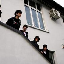 Foto de Mr White Rabbit