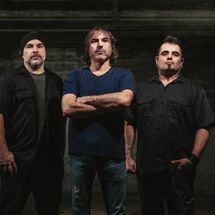 Foto de Groovy Aardvark