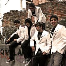 Foto de Mr White Rabbit