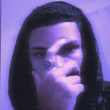Foto de WD Gringo