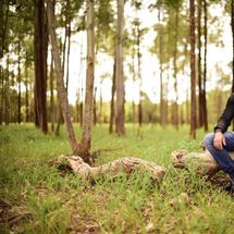 Foto de Irmão Ribeiro