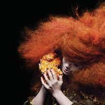 Foto de Björk