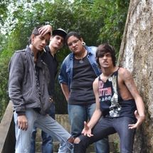 Foto de Gozo de Lebre