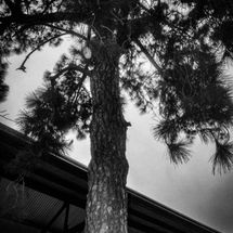 Foto de Estação de Energia