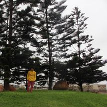 Foto de Phillip B. Sound