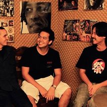 Foto de Chimpanzés de Gaveta