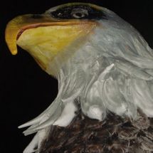 Foto de Acadêmicos de São Francisco