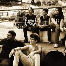 Foto de Baratas Grávidas