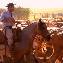 Foto de Guto Gonzalez