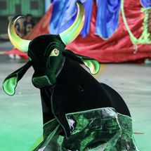 Foto de Boi Bumbá Garanhão