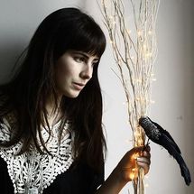 Foto de Love Like Birds