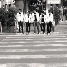 Foto de Mr White Rabbit