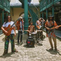 Foto de Steamy Frogs