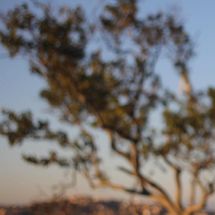 Foto de Elhias Hernandes