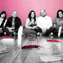 Foto de Pocket Full Of Rocks