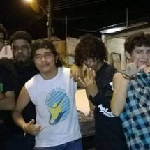 Foto de Baratas Grávidas