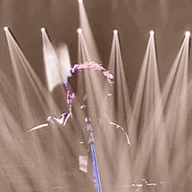 Foto de Raffa Torres