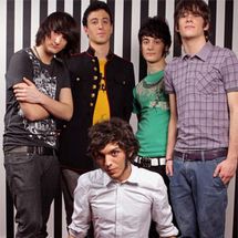 Foto de Mr White Rabbit