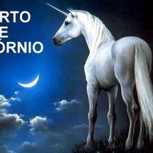 Foto de Aborto de Unicórnio