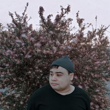 Foto de Climb Up To The Stars