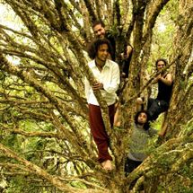 Foto de Vício Primavera