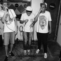 Foto de Crias de Sampa