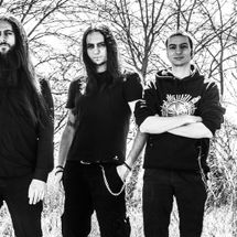 Foto de Shores of Null