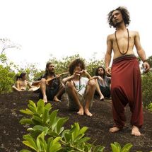 Foto de Vício Primavera